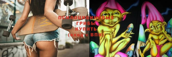 ГАЛЛЮЦИНОГЕННЫЕ ГРИБЫ Арсеньев