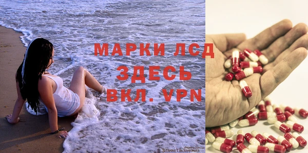 ГАЛЛЮЦИНОГЕННЫЕ ГРИБЫ Арсеньев