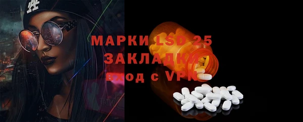 ГАЛЛЮЦИНОГЕННЫЕ ГРИБЫ Арсеньев