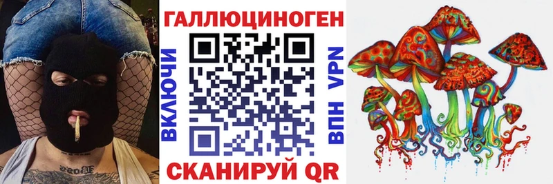 Галлюциногенные грибы Psilocybine cubensis  купить  цена  Гуково 