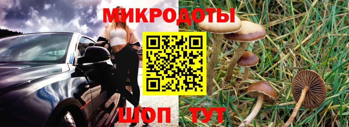 Псилоцибиновые грибы Magic Shrooms  Вход с VPN  Гуково  Галлюциногенные грибы прущие грибы 